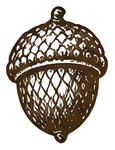 Acorn